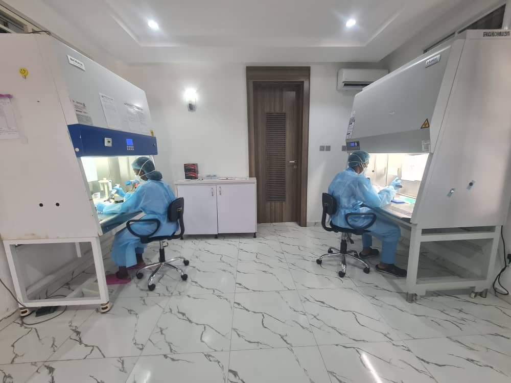 Optimum Laboratories